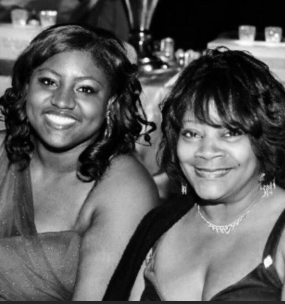 red roses close up photography